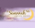 A Savannah Nite Limousine Service
